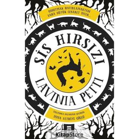 Sis Hırsızı - Lavinia Petti