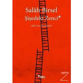 Şişedeki Zenci - Salah Birsel
