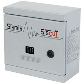 Sismik Siscut Doğalgaz Çıkışlı Deprem Sensörü