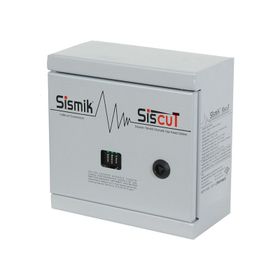Sismik Siscut Doğalgaz Çıkışlı Deprem Sensörü