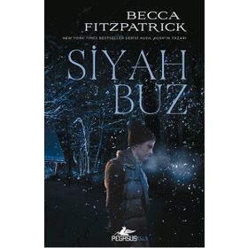 Siyah Buz - Becca Fitzpatrick