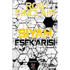 Siyah Eşekarısı - Rob Sinclair