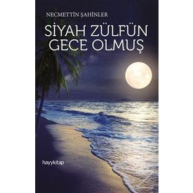 Siyah Zülfün Gece Olmuş - Necmettin Şahinler