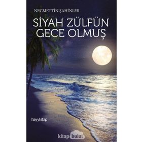 Siyah Zülfün Gece Olmuş - Necmettin Şahinler