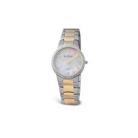 Skagen 644LSGX Bayan Kol Saati