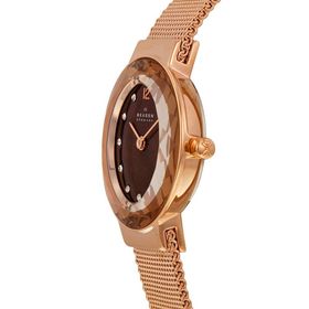 Skagen SKA456SRR1 Bayan Kol Saati