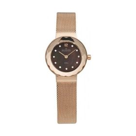Skagen SKA456SRR1 Bayan Kol Saati