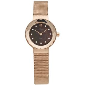 Skagen SKA456SRR1 Bayan Kol Saati