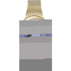 Skagen SKA812SGG Bayan Kol Saati