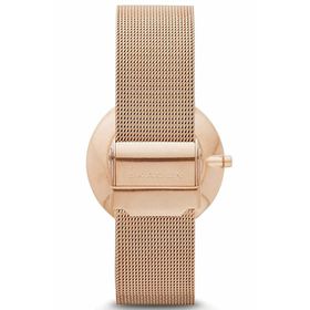 Skagen SKW2130 Bayan Kol Saati
