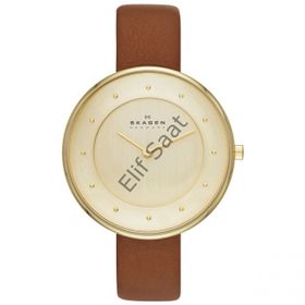 Skagen SKW2138 Bayan Kol Saati