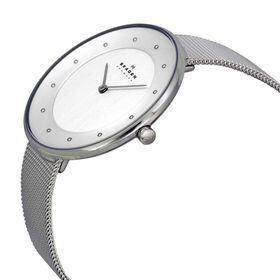 Skagen SKW2140 Bayan Kol Saati
