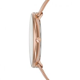 Skagen SKW2142 Bayan Kol Saati