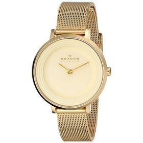Skagen SKW2212 Bayan Kol Saati