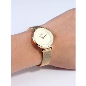 Skagen SKW2212 Bayan Kol Saati