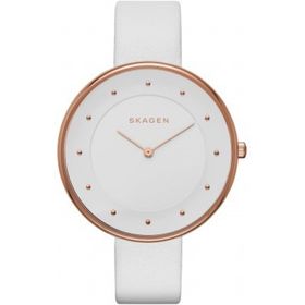 Skagen SKW2291 Kadın Kol Saati