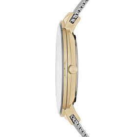 Skagen SKW2381 Bayan Kol Saati