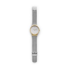 Skagen SKW2381 Bayan Kol Saati
