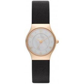 Skagen SKW2385 Bayan Kol Saati