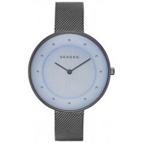 Skagen SKW2388 Bayan Kol Saati