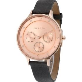 Skagen SKW2392 Bayan Kol Saati