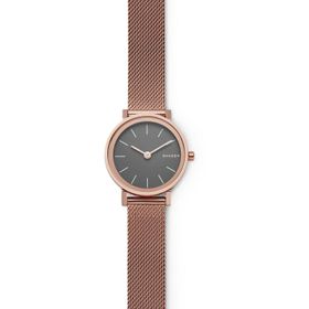 Skagen SKW2470 Kadın Kol Saati