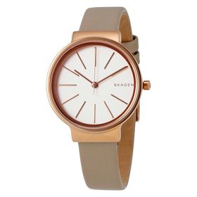 Skagen SKW2481