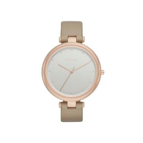Skagen SKW2484