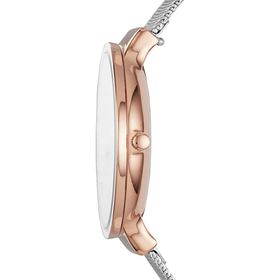 Skagen SKW2616 Bayan Kol Saati