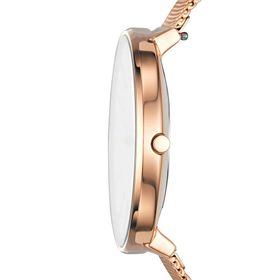 Skagen SKW2688 Kadın Kol Saati