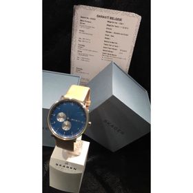 Skagen SKW6167 Erkek Kol Saati