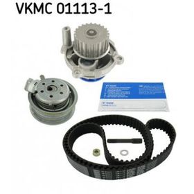 SKF 01113-1 Devirdaimli Eksantrik Rulman Kiti