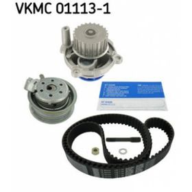SKF 01113-1 Devirdaimli Eksantrik Rulman Kiti