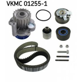 SKF 01255-1 Devirdaimli Triger Eksantrik Gergi Seti