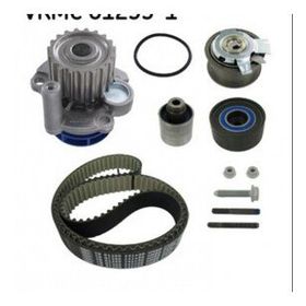 SKF 01255-1 Devirdaimli Triger Eksantrik Gergi Seti