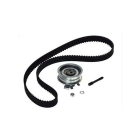 SKF 06A198119 Seat Toledo Triger Seti