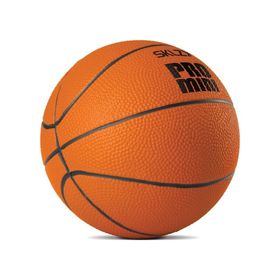 SKLZ Pro Mini PDQ-HP14 1721 5'' FM Ball