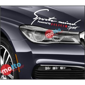 Skoda Felicia Sports Mind Far Üstü Oto Sticker