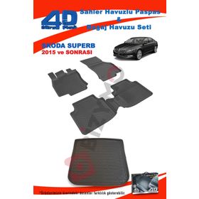 Skoda SuperB 2004 Model 3D Havuzlu Paspas