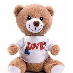 Skygo Love Tişörtlü Peluş Ayıcık