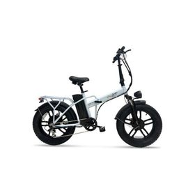 Skyjet Robusto Premium 750 W Elektrikli Bisiklet