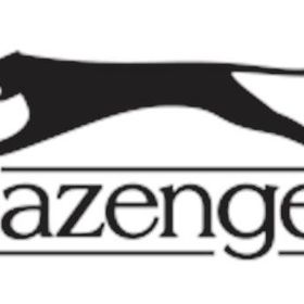 Slazenger SL.09.2262.2.05 Erkek Kol Saati