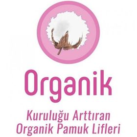 Sleepy Mega Paket Natural Slim Ekstra İnce Normal 48'li Ped