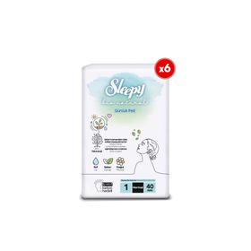 Sleepy Natural 6x40 Adet Normal Günlük Ped