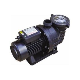 SMP 0.75 Hp 220 V Havuz Pompası