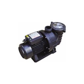 SMP 1.5 Hp 380 V Havuz Pompası