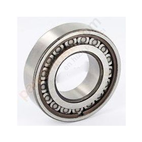 SNR NJ12012S03H100 Şanzıman Bilyası