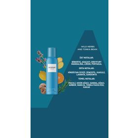 So Bespoke 150 ml Wild Herbs and Tonka Bean Erkek Deodorant
