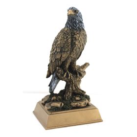 Sobepy 078 Kartal Biblo