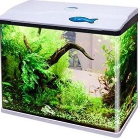 Sobo 48.5x26x47 cm Beyaz Komple Akvaryum